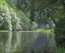 Glenwood in the State of Oregon